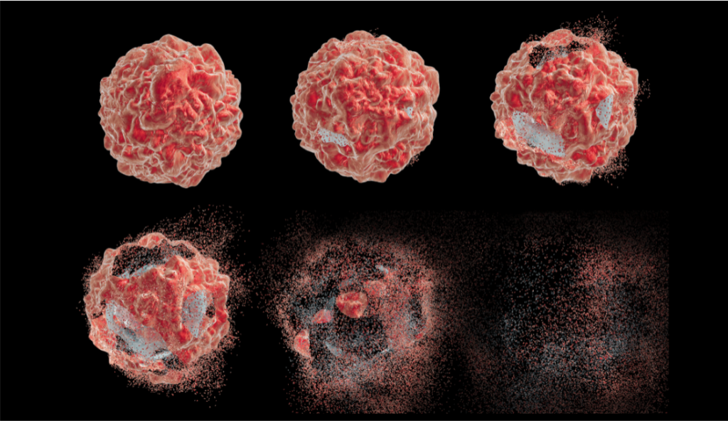 Trending With Impact: ONC201 Induces Apoptosis in Breast Cancer