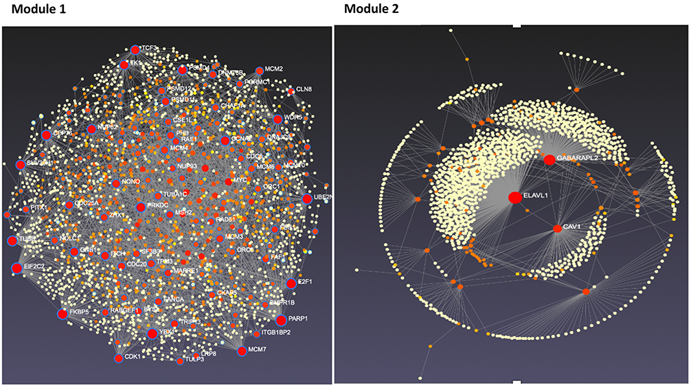Figure 4: Tissue-specific protein-protein interaction network for modules 1 and 2 candidate genes.